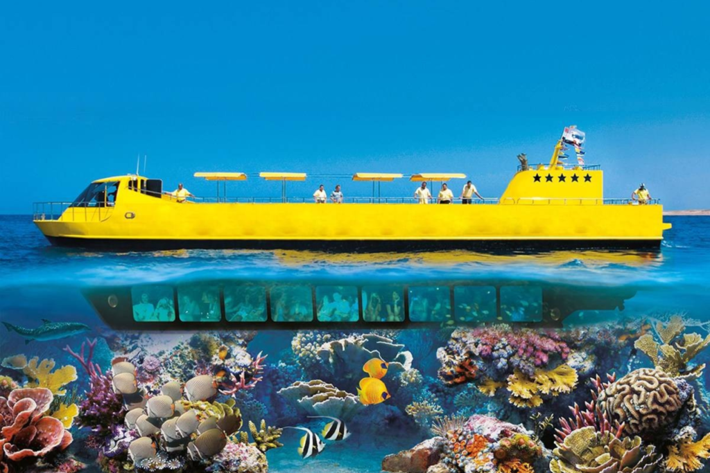 Untitled design – 2024-07-29T170849.886