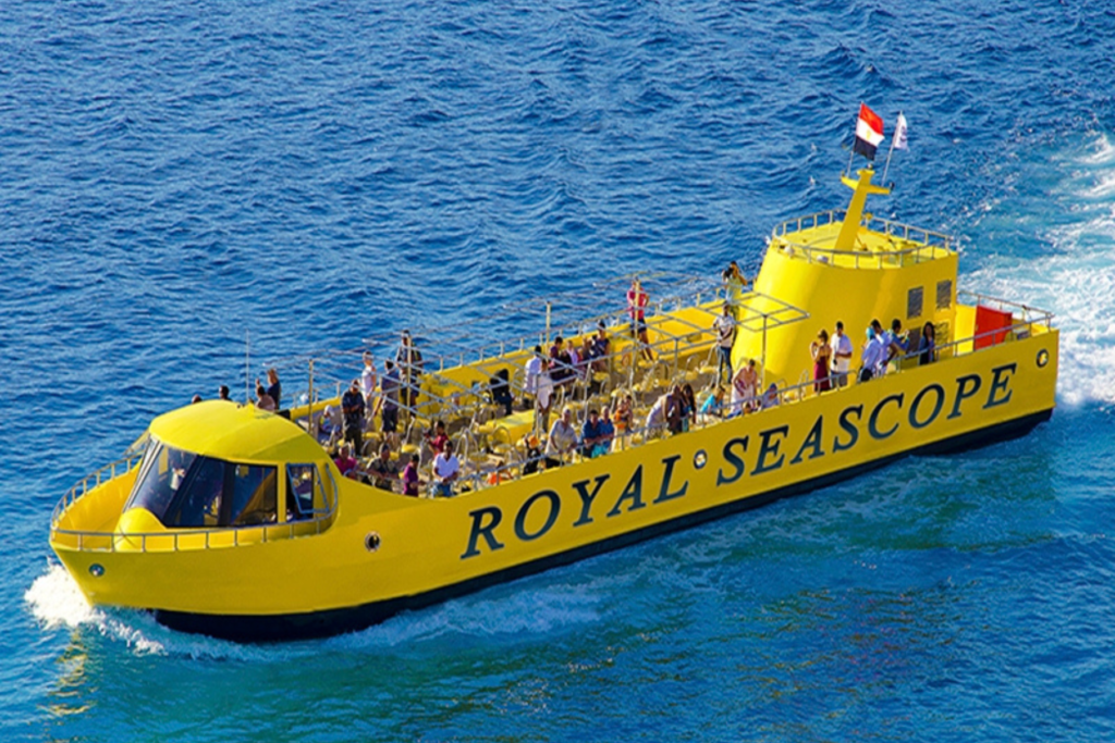 Untitled design – 2024-07-29T171232.488