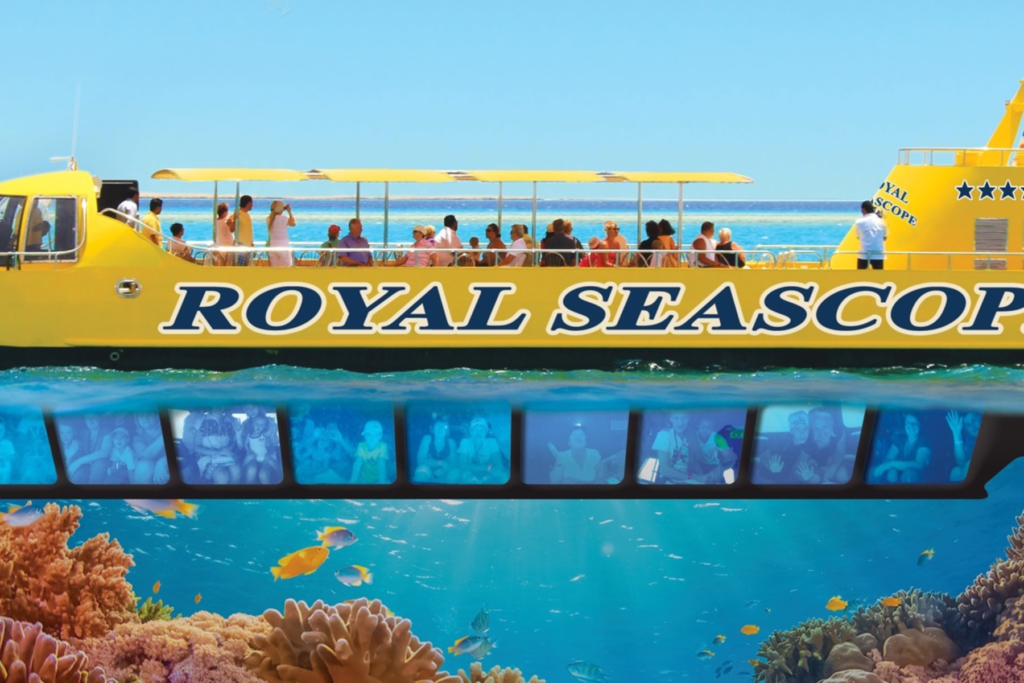 Untitled design – 2024-07-29T171252.811